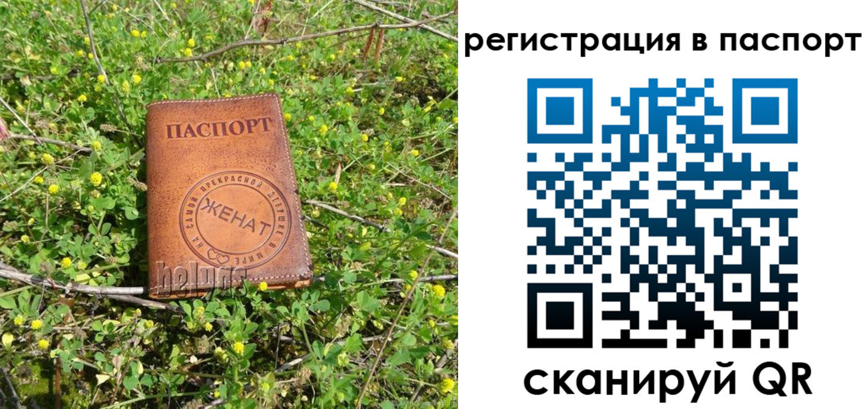 прописка для кредита в Кинеле